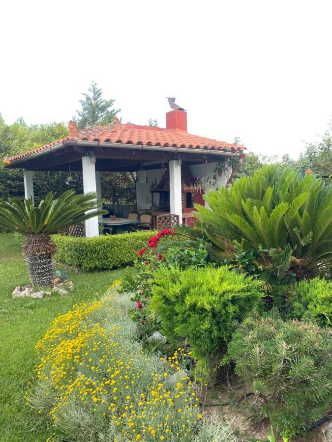 Dimitris Corinthian Villa Врахати Экстерьер фото